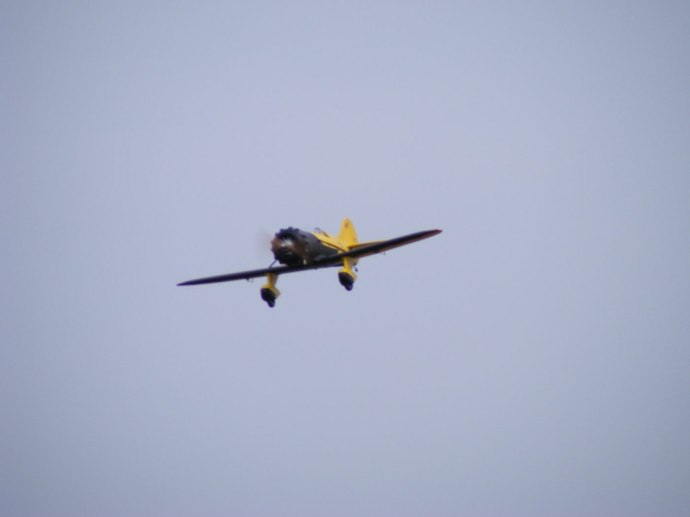 Team GB Gee Bee racers